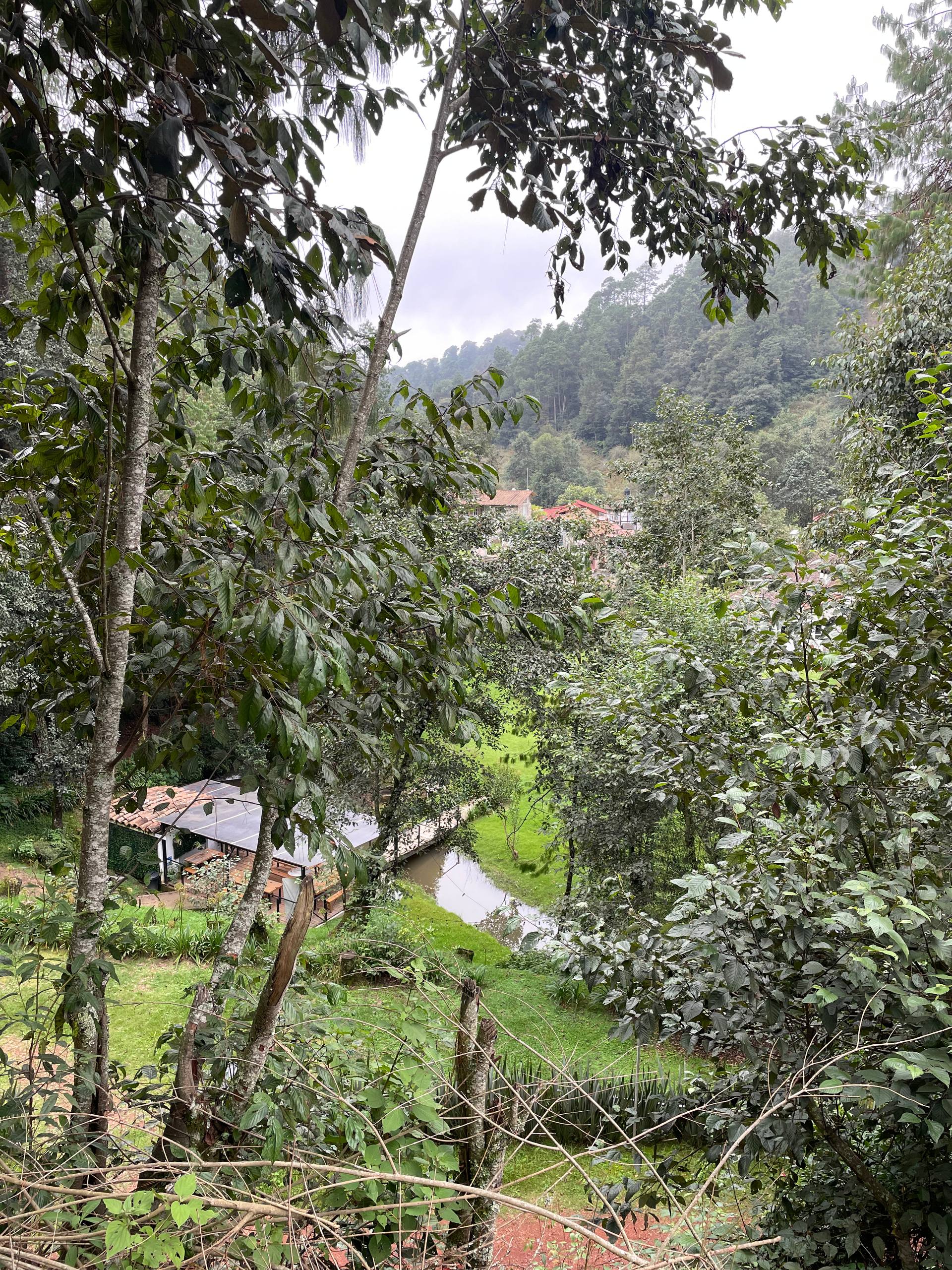 Fotografía de la galería
