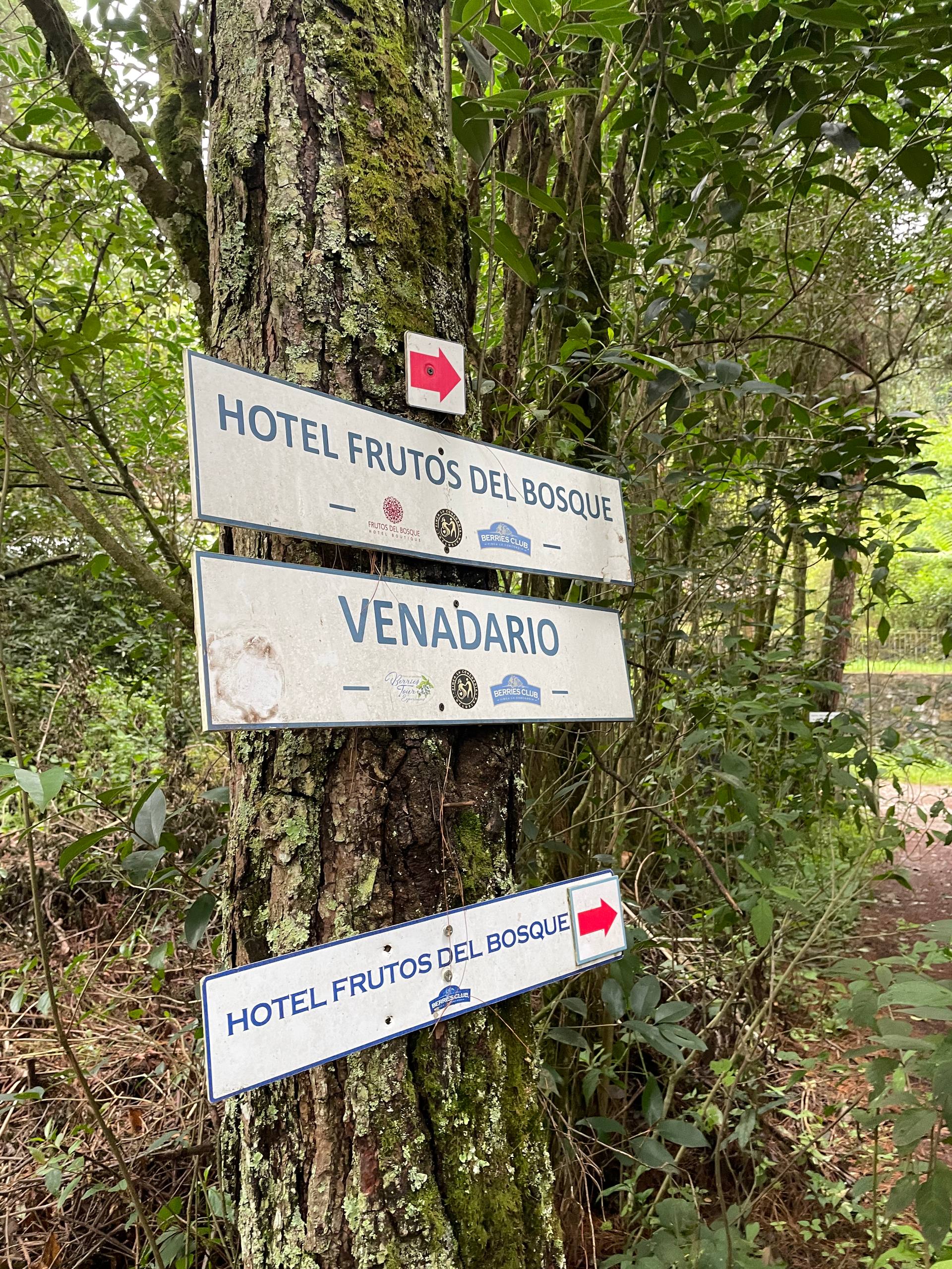 Gastronomía local y manzanas de Zacatlán