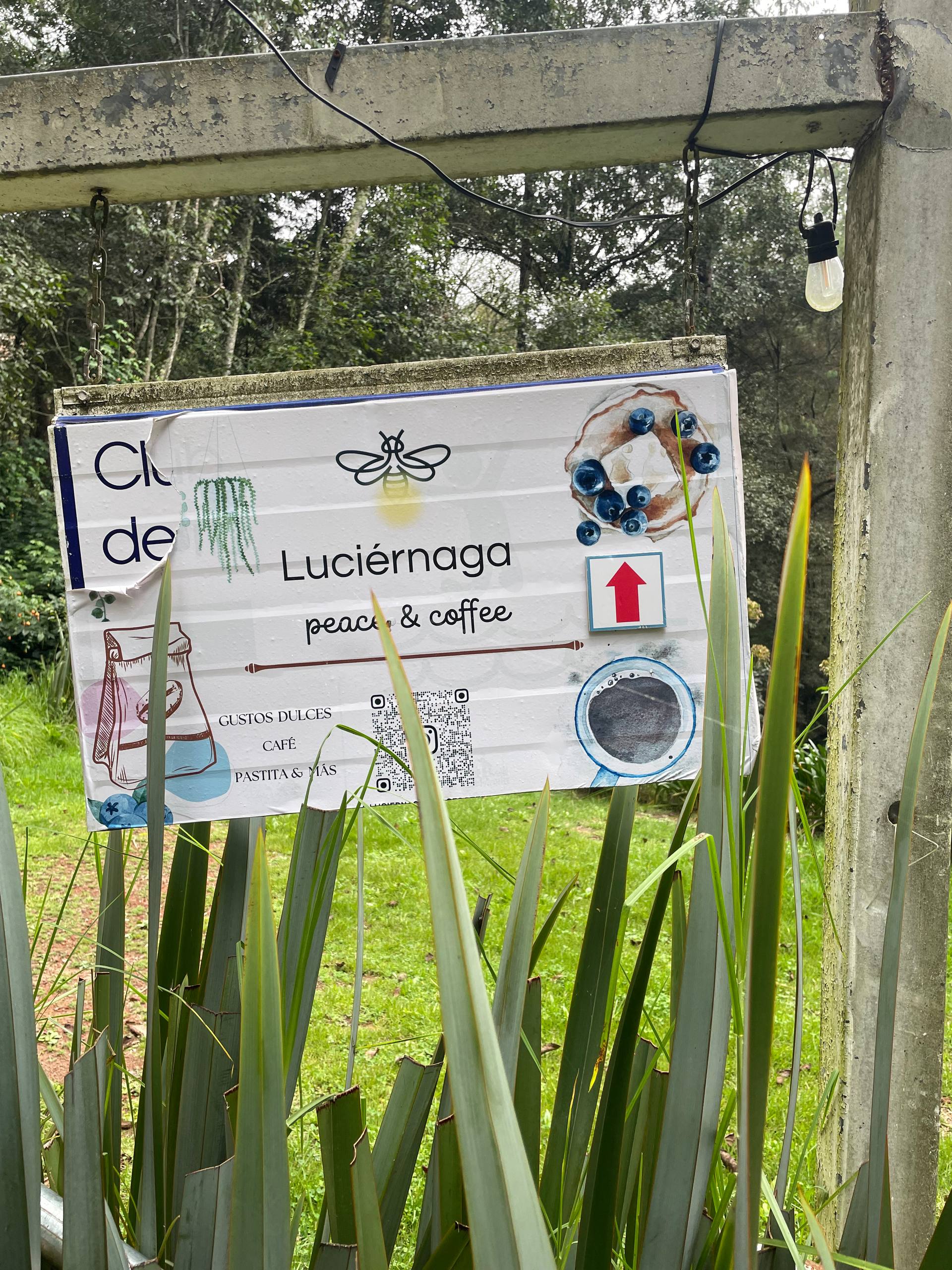 Fotografía de la galería