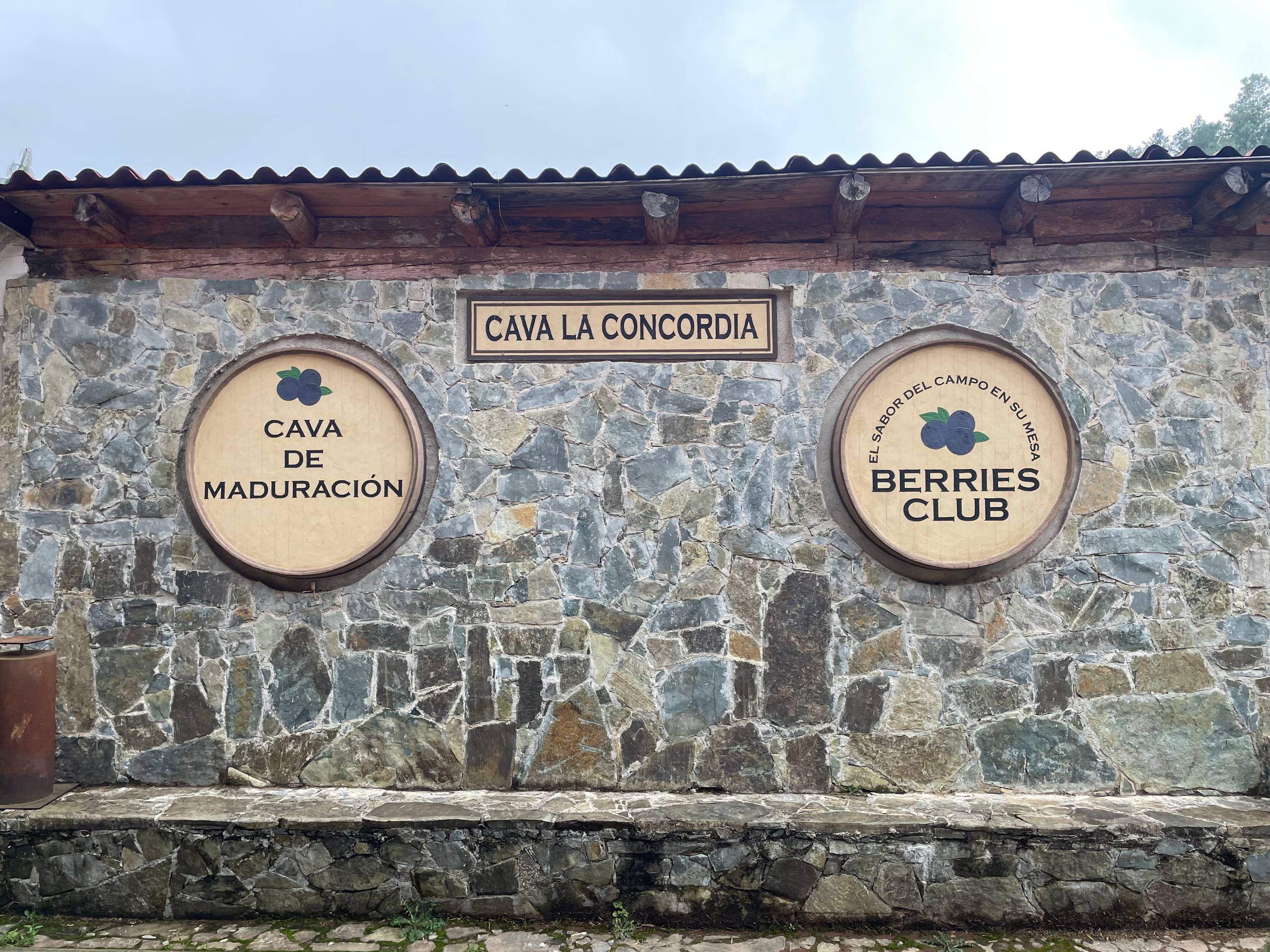 Fotografía de la galería