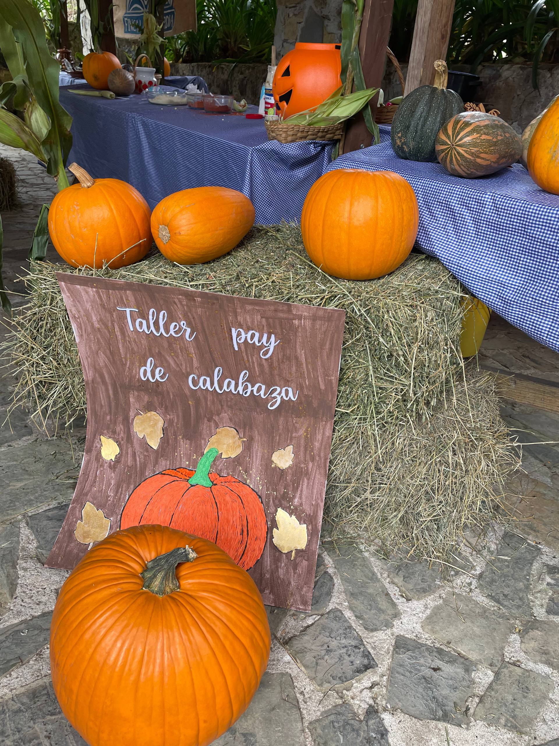Fotografía de la galería