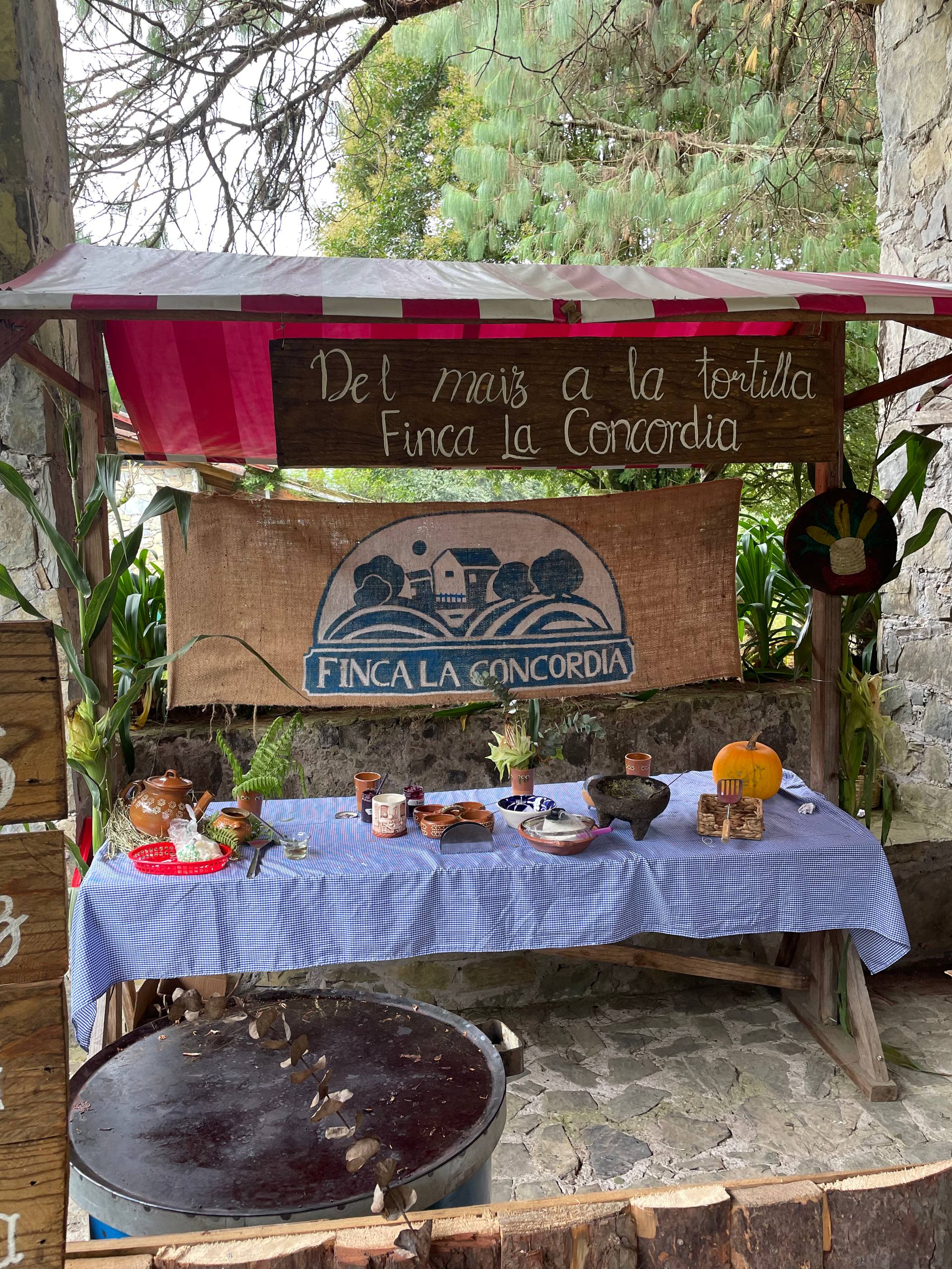 Fotografía de la galería
