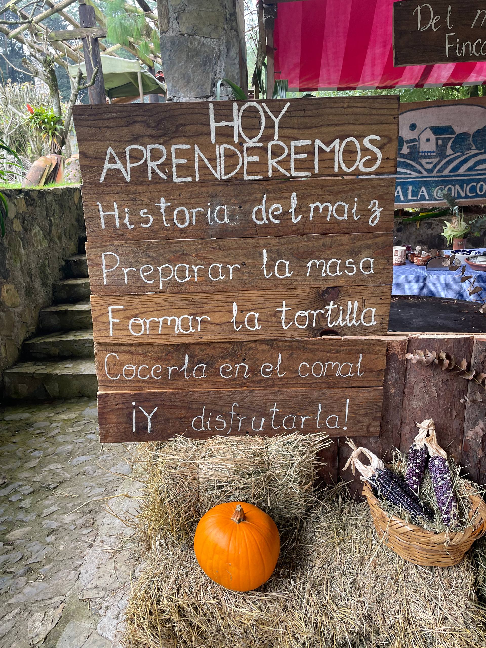 Fotografía de la galería