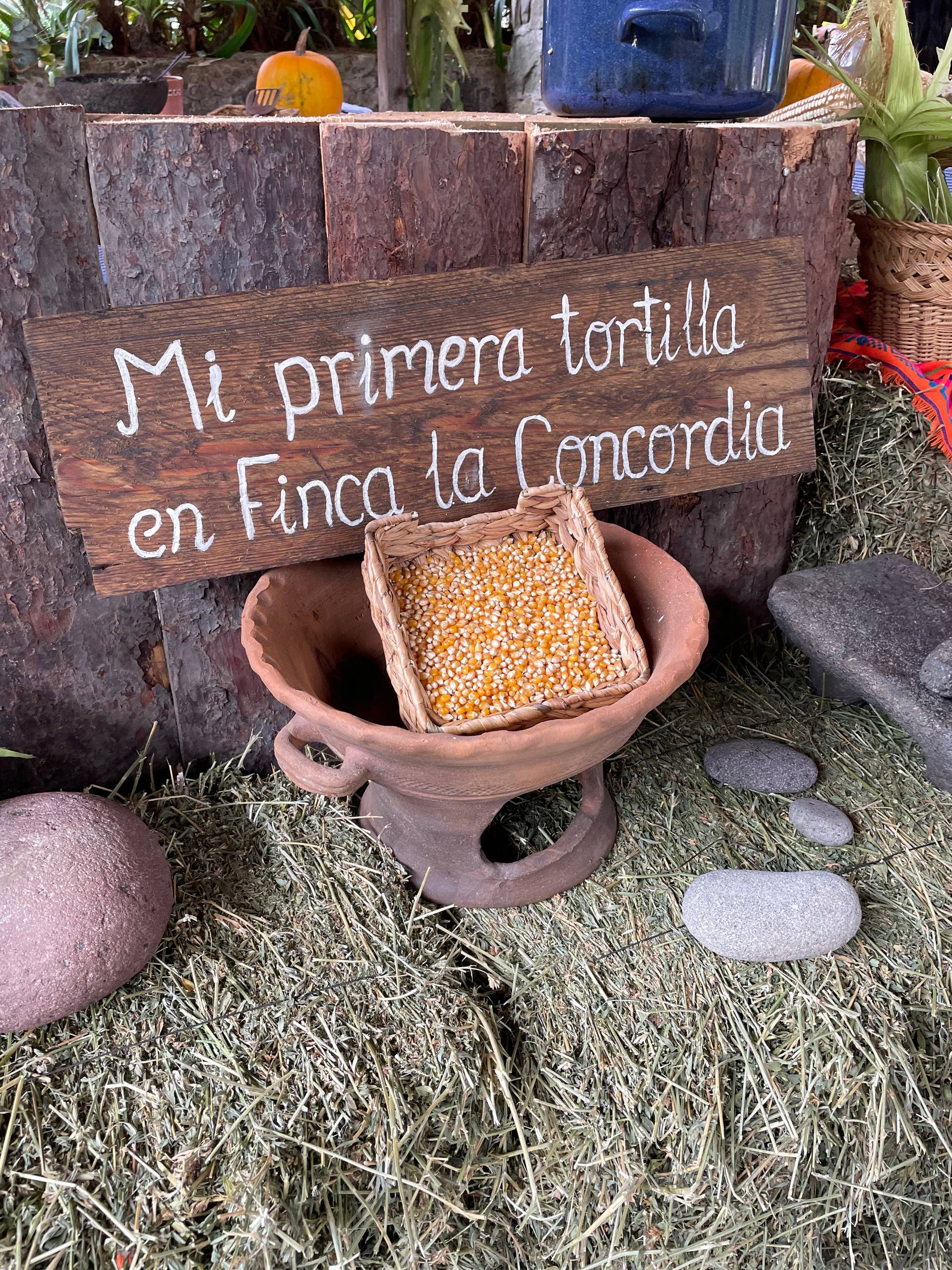 Fotografía de la galería