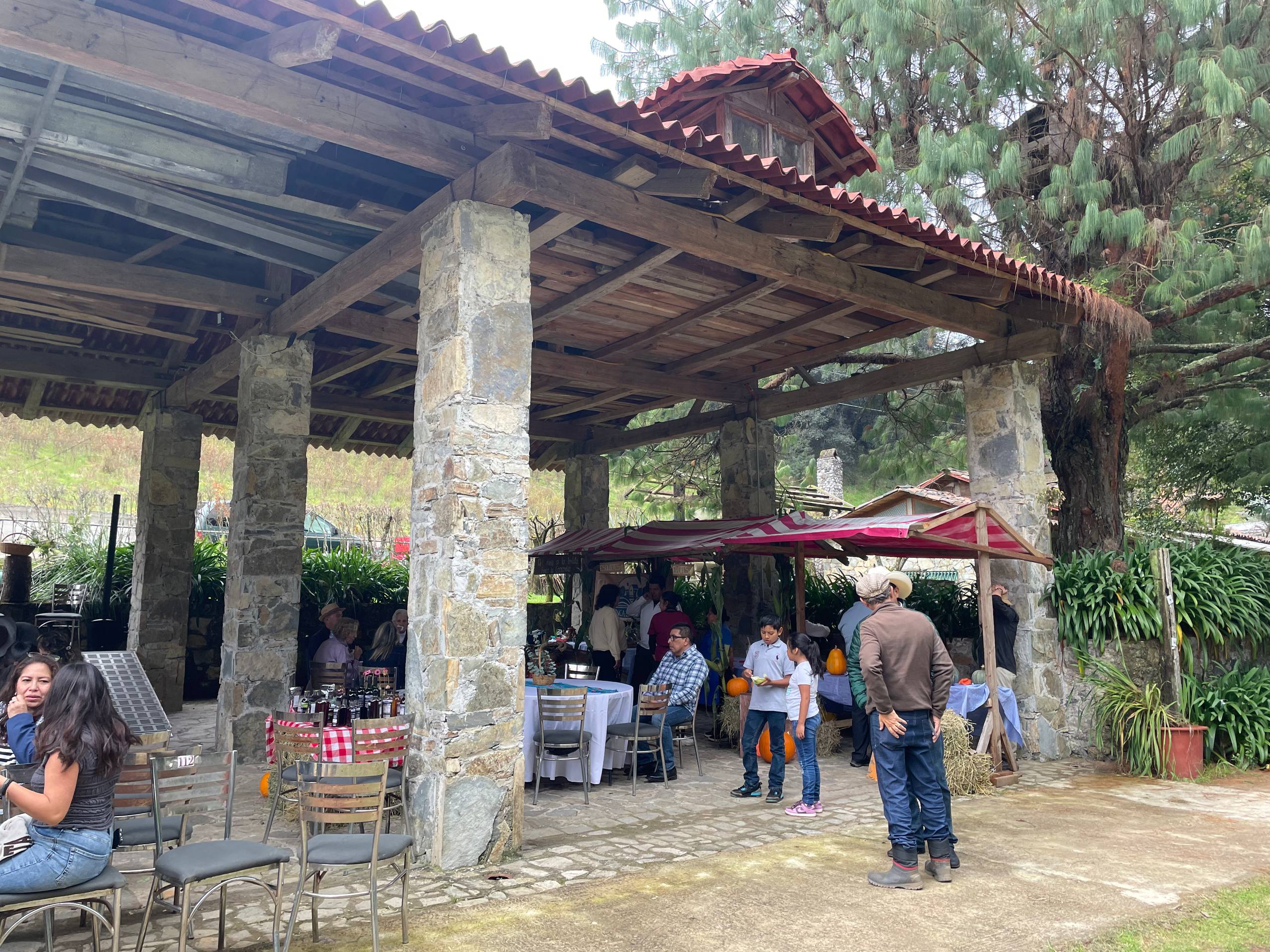 Fotografía de la galería