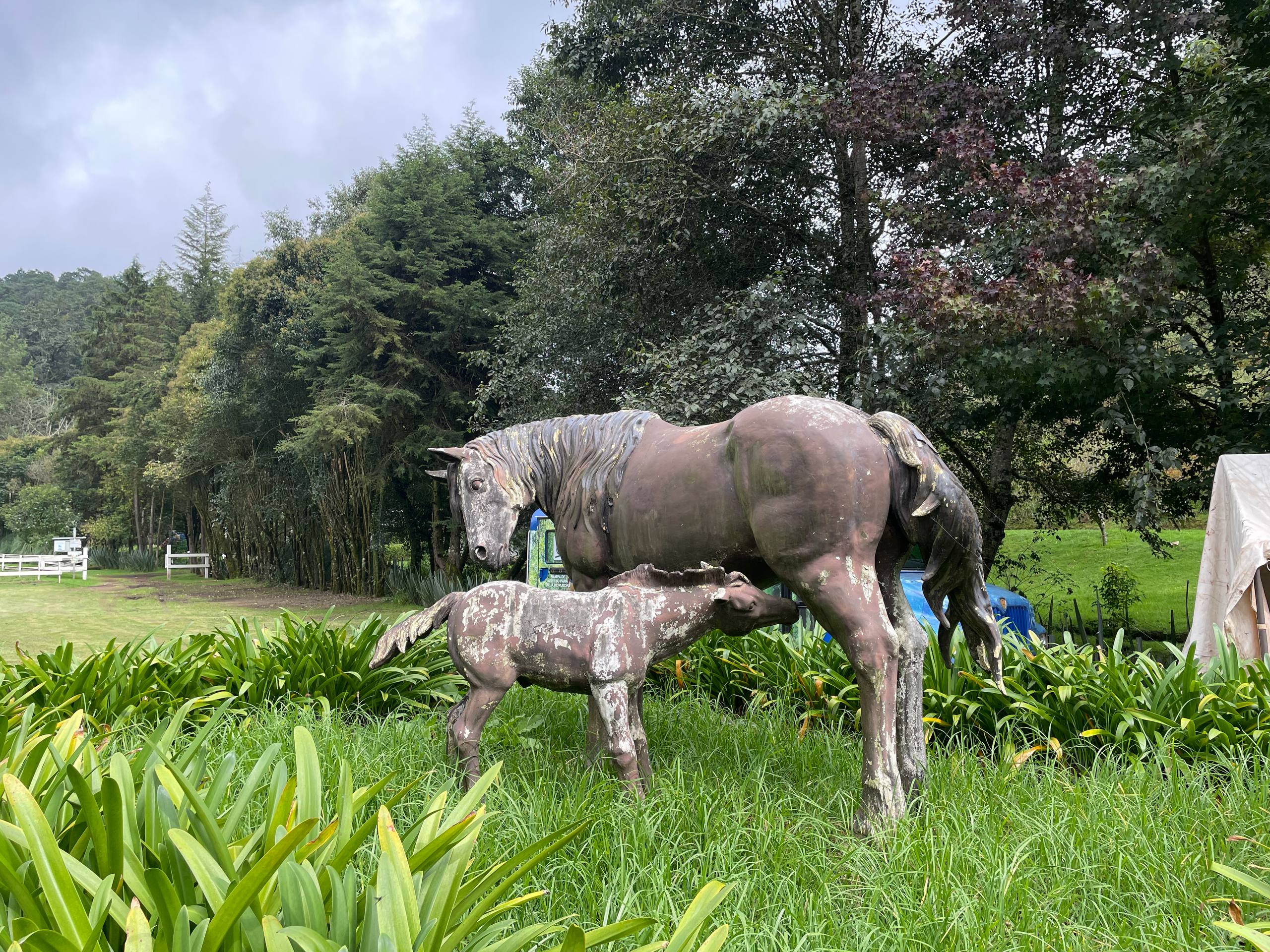 Fotografía de la galería