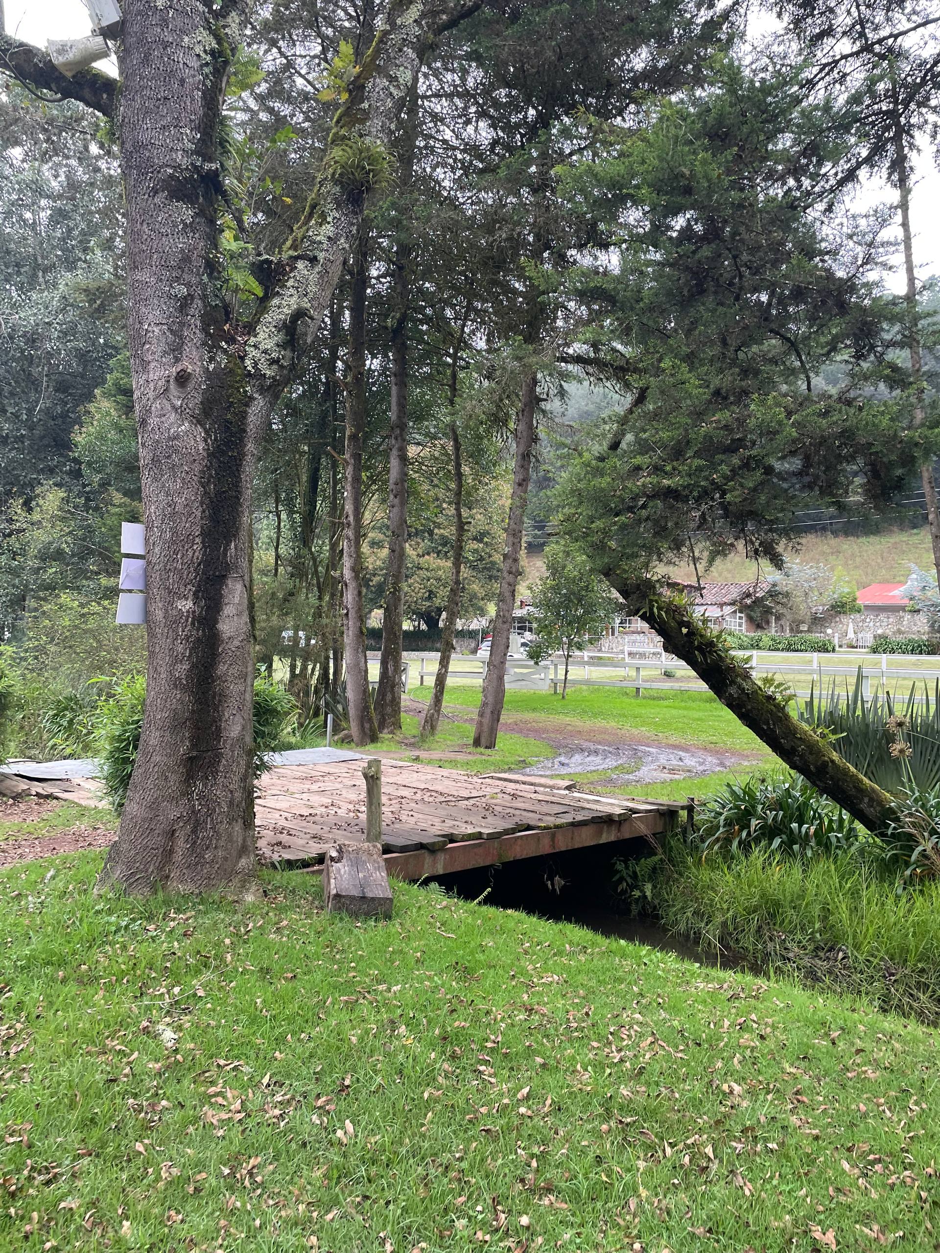 Fotografía de la galería