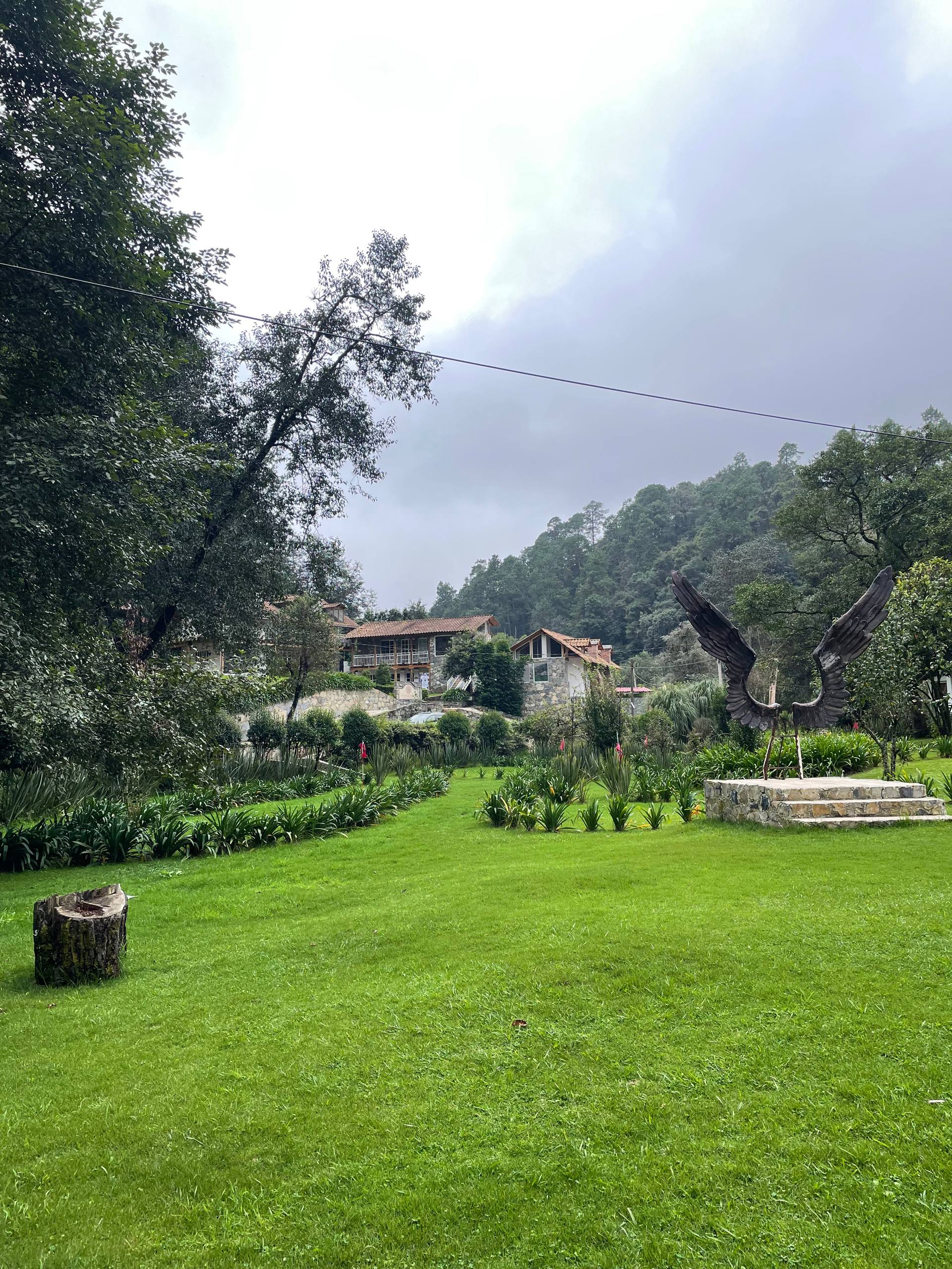 Fotografía de la galería