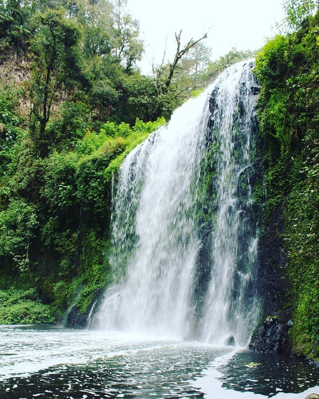 Acaxochitlán - Foto 4