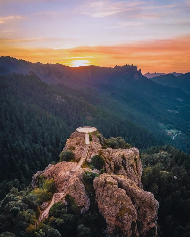 Atardecer en el Bosque