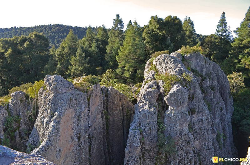 Contadero