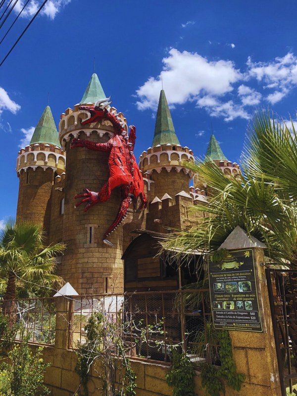 Kids Adventure