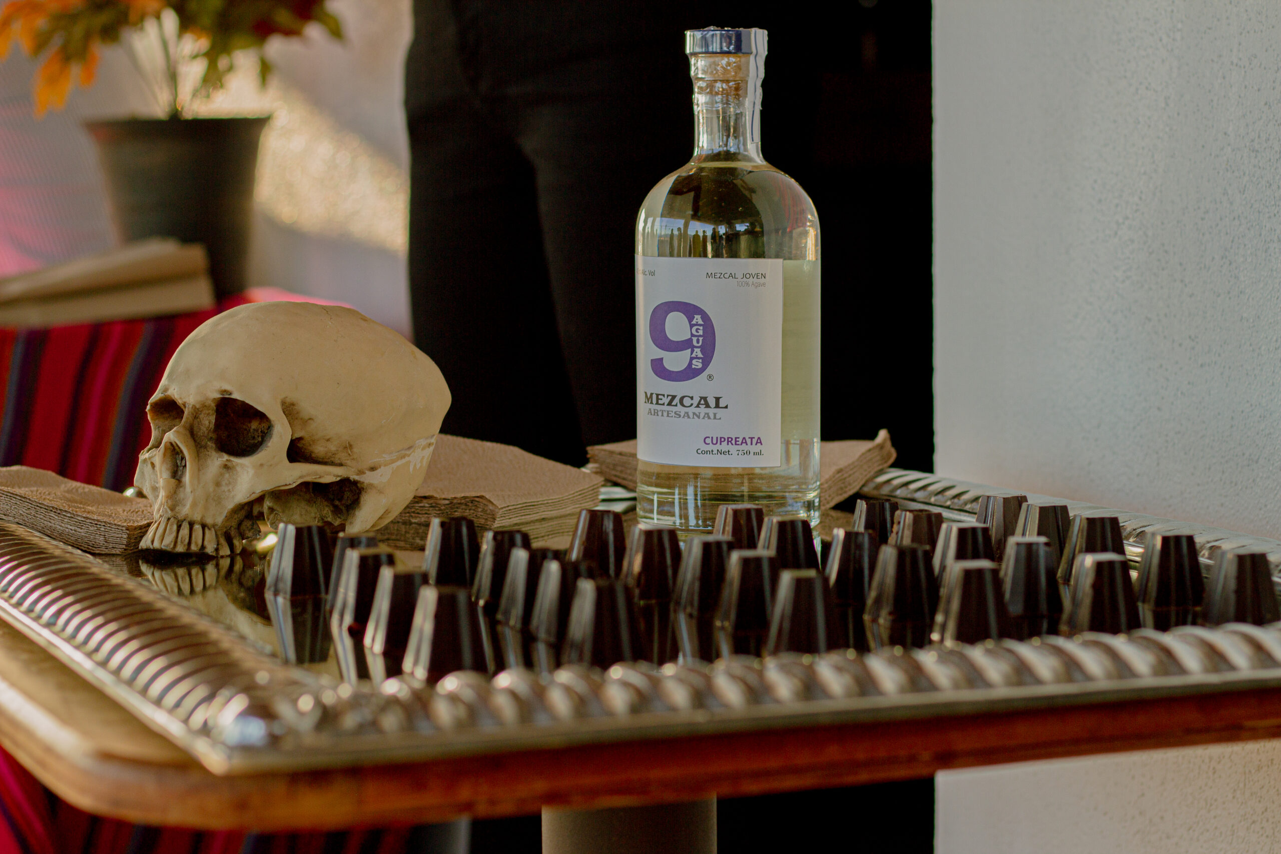 Museo y Destilería de Mezcal 9 Aguas