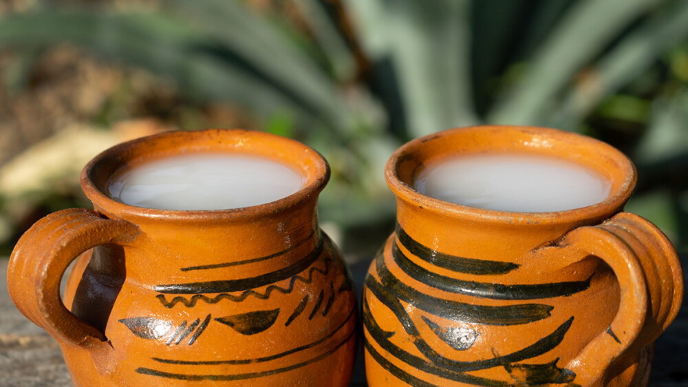 Tour del Pulque